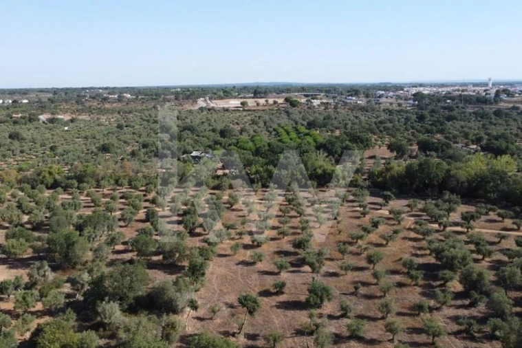 Terreno para Venda em Grândola e Santa Margarida da Serra Foto 22