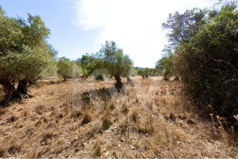 Terreno para Venda em Grândola e Santa Margarida da Serra Foto 19