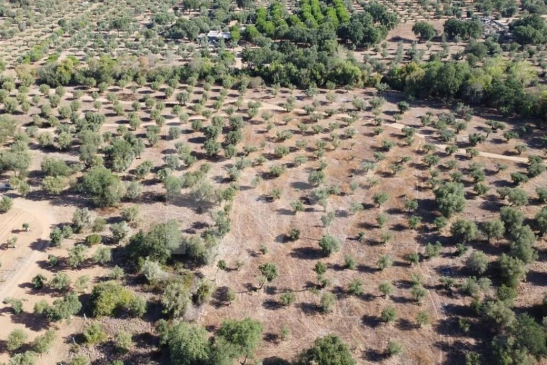 Terreno para Venda em Grândola e Santa Margarida da Serra Foto 25