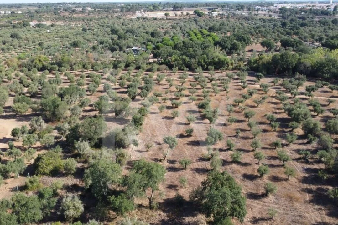 Terreno para Venda em Grândola e Santa Margarida da Serra Foto 24