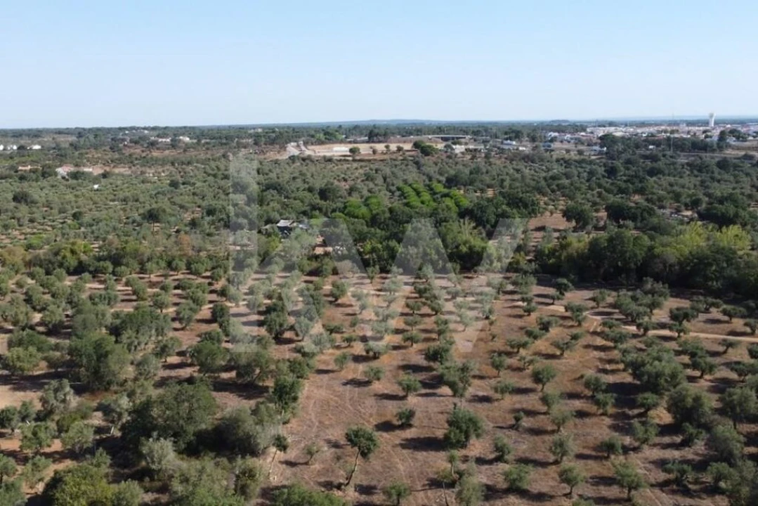 Terreno para Venda em Grândola e Santa Margarida da Serra Foto 22