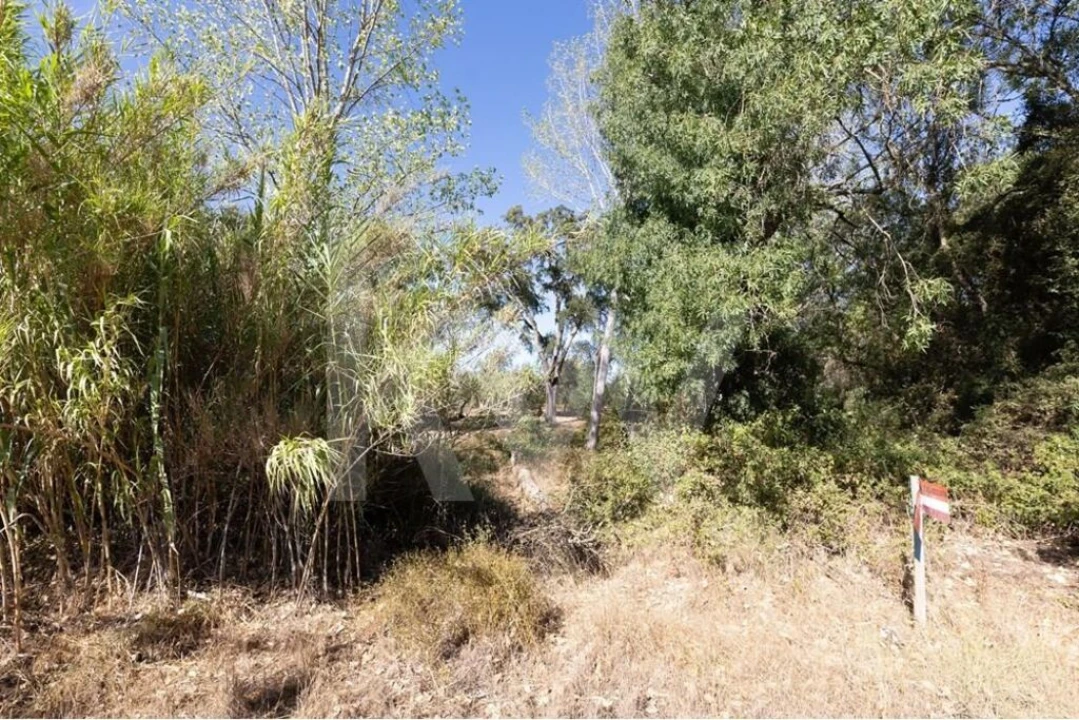 Terreno para Venda em Grândola e Santa Margarida da Serra Foto 3
