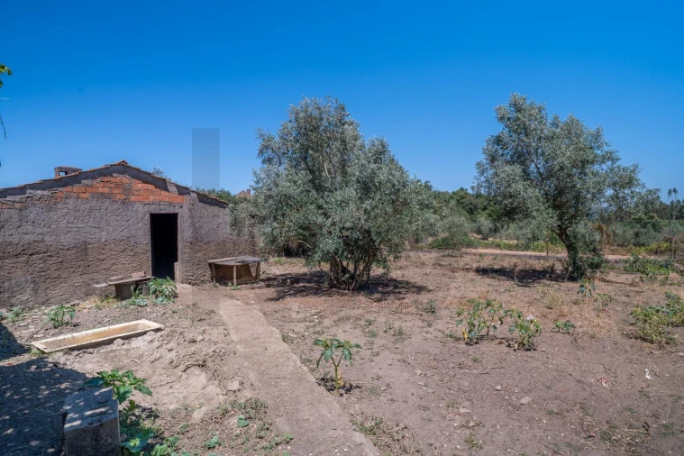 Moradia T5 para Venda em Casais e Alviobeira Foto 48