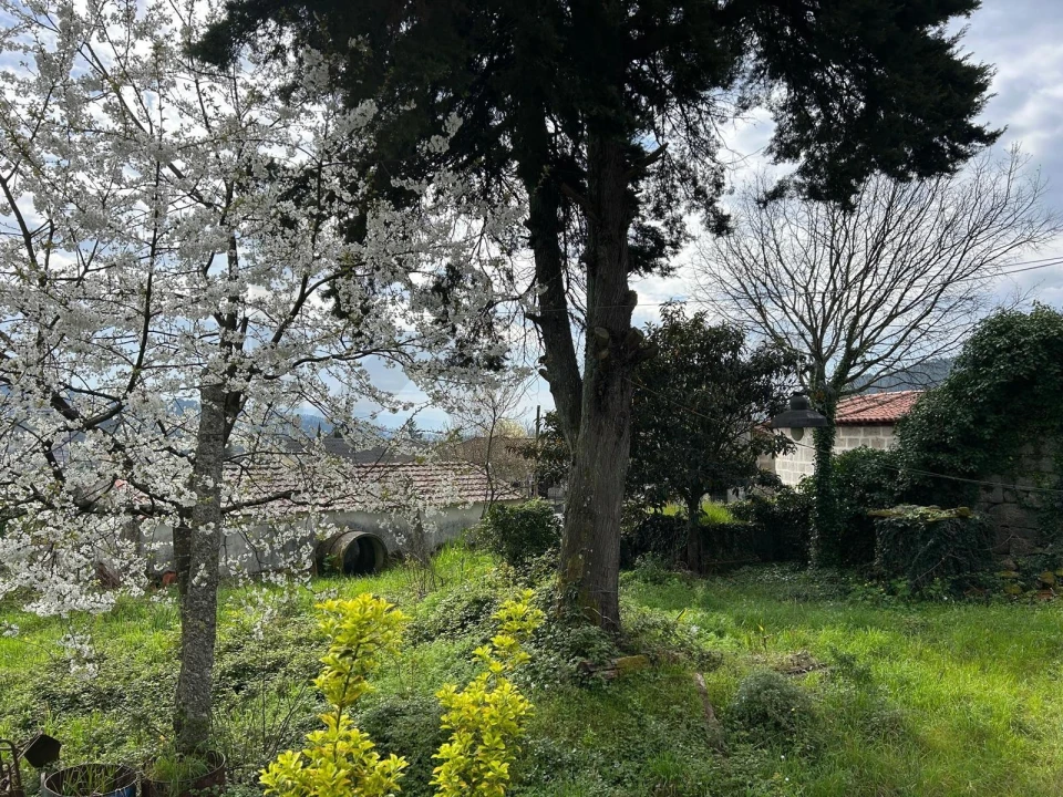 Quinta T3 para Venda em Real, Ataíde e Oliveira Foto 22