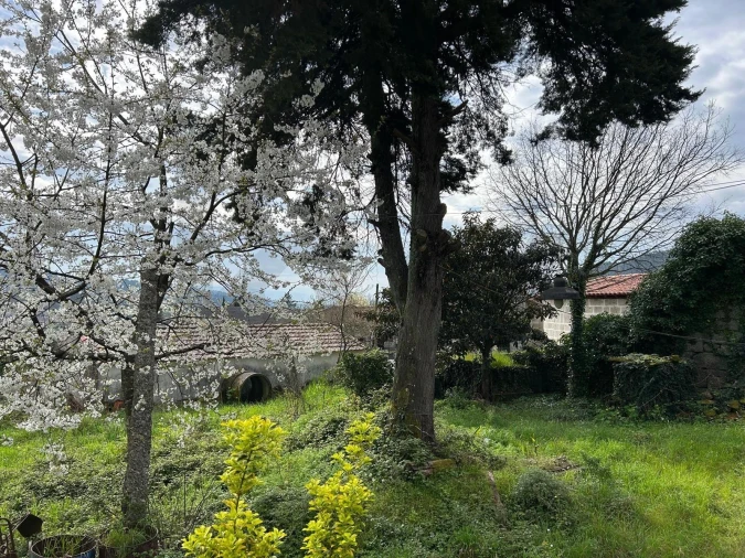 Quinta T3 para Venda em Real, Ataíde e Oliveira Foto 22