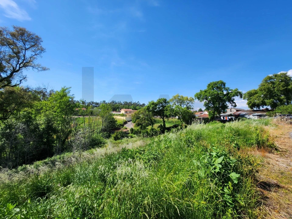 Terreno para Venda em Macinhata do Vouga Foto 12