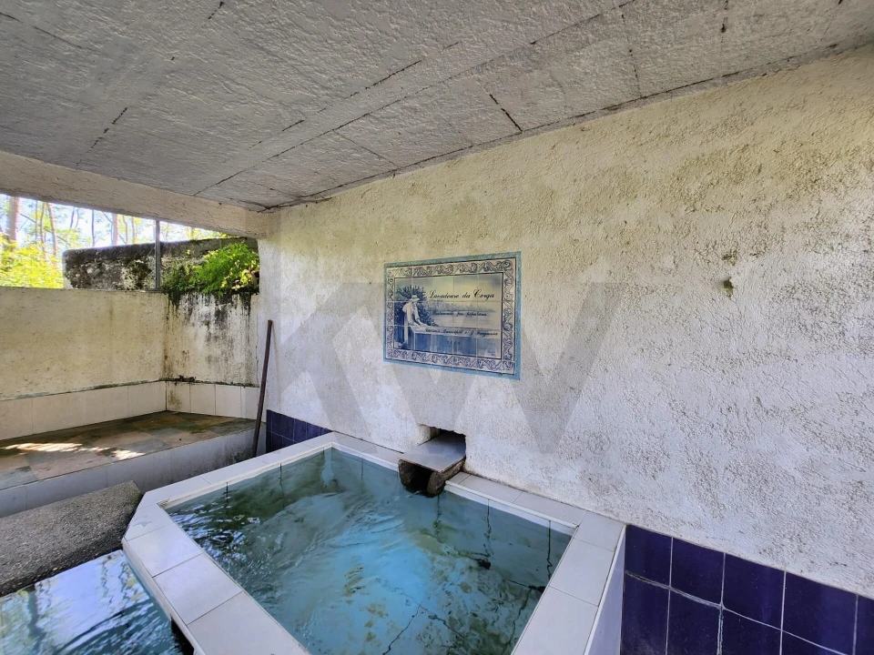 Terreno para Venda em Macinhata do Vouga Foto 5