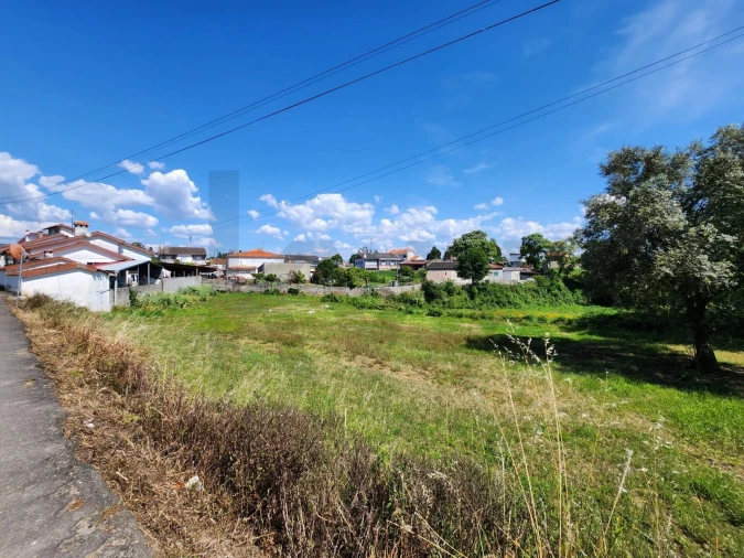 Terreno para Venda em Macinhata do Vouga Foto 8