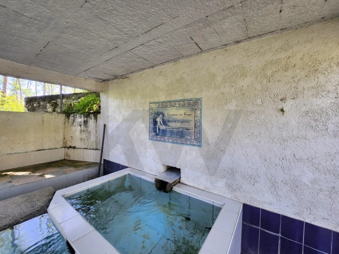 Terreno para Venda em Macinhata do Vouga Foto 5