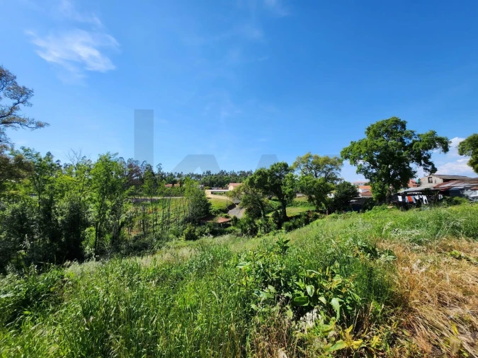 Terreno para Venda em Macinhata do Vouga Foto 10