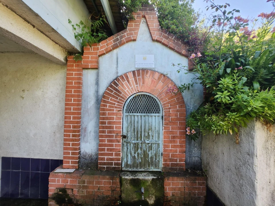 Terreno para Venda em Macinhata do Vouga Foto 4