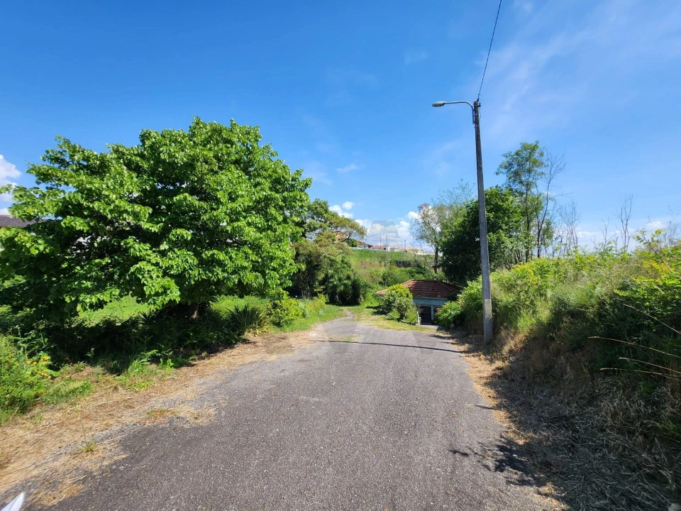 Terreno para Venda em Macinhata do Vouga Foto 7