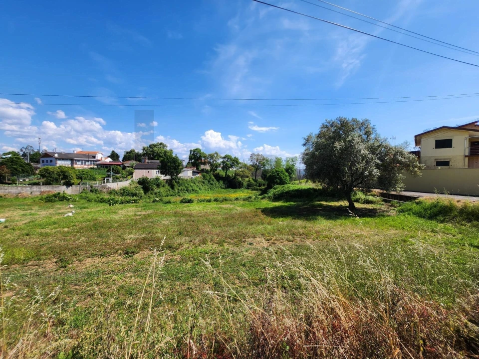 Terreno para Venda em Macinhata do Vouga Foto 9