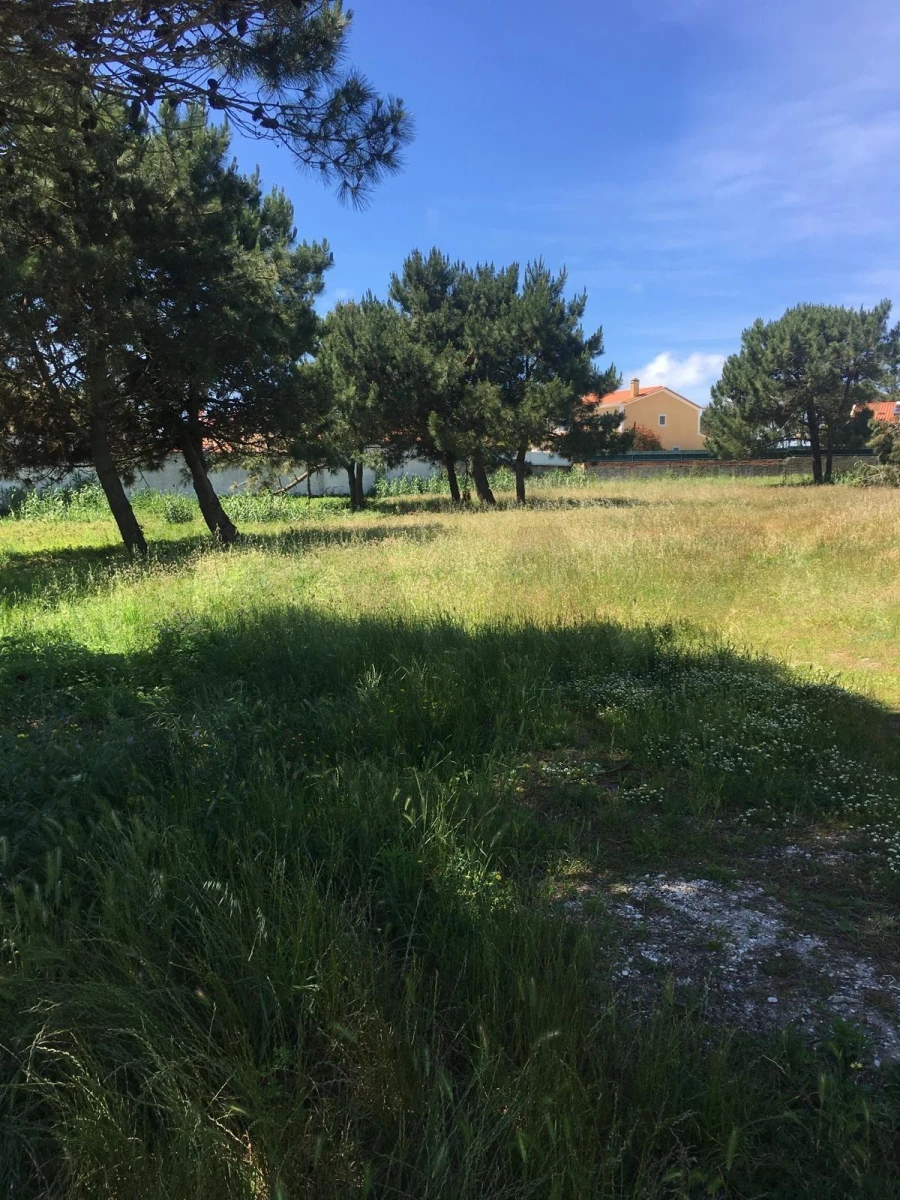 Terreno para Venda em Silveira Foto 5