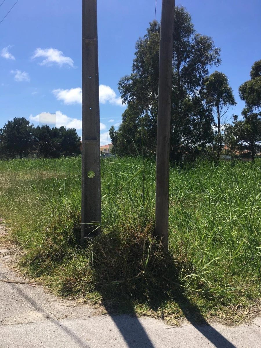 Terreno para Venda em Silveira Foto 10