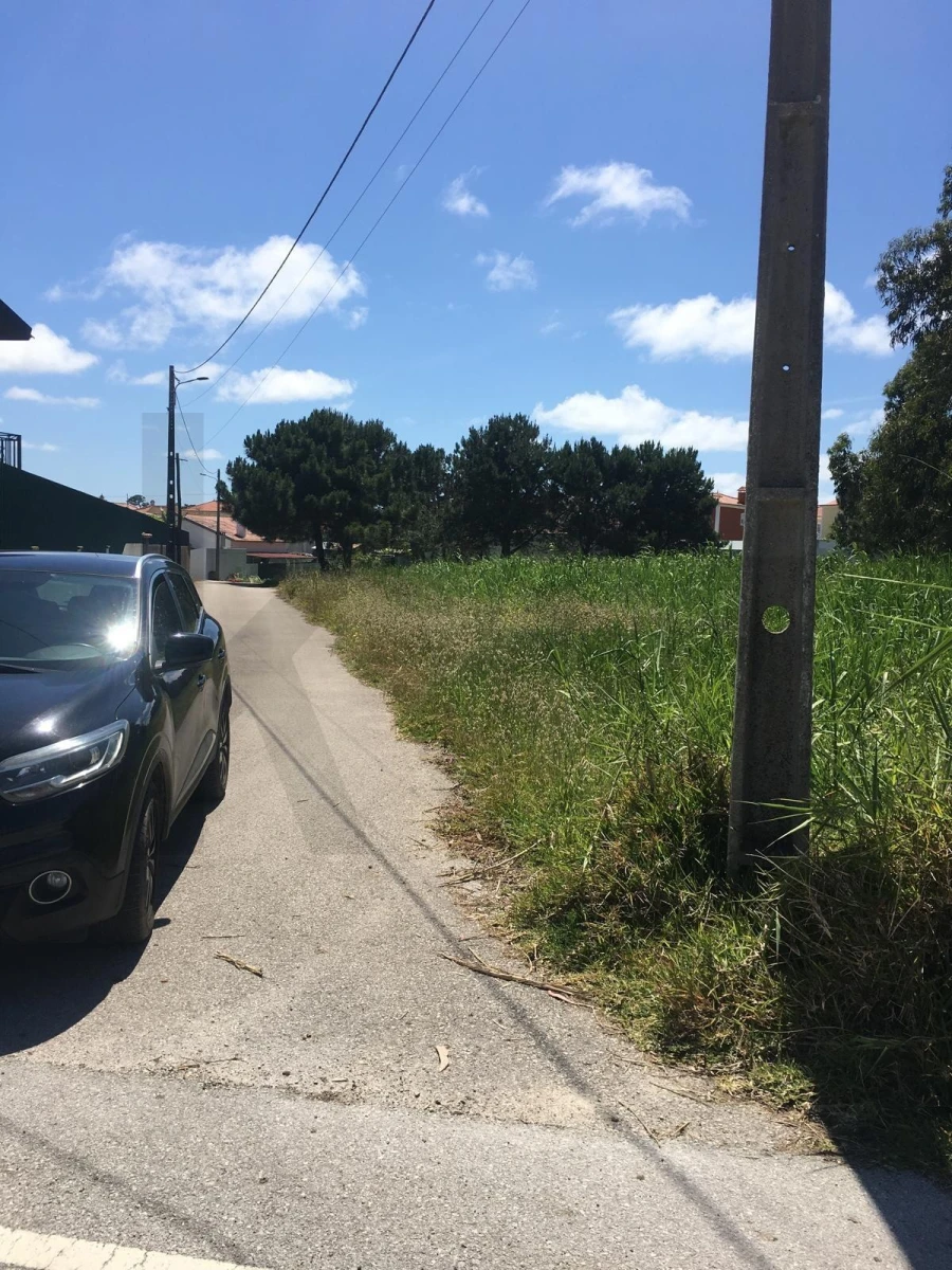 Terreno para Venda em Silveira Foto 11