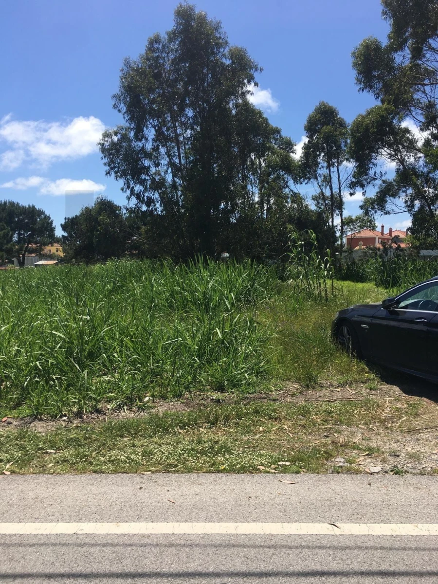 Terreno para Venda em Silveira Foto 16