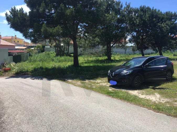 Terreno para Venda em Silveira Foto 3