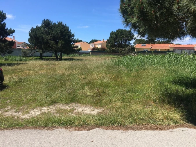 Terreno para Venda em Silveira Foto 6