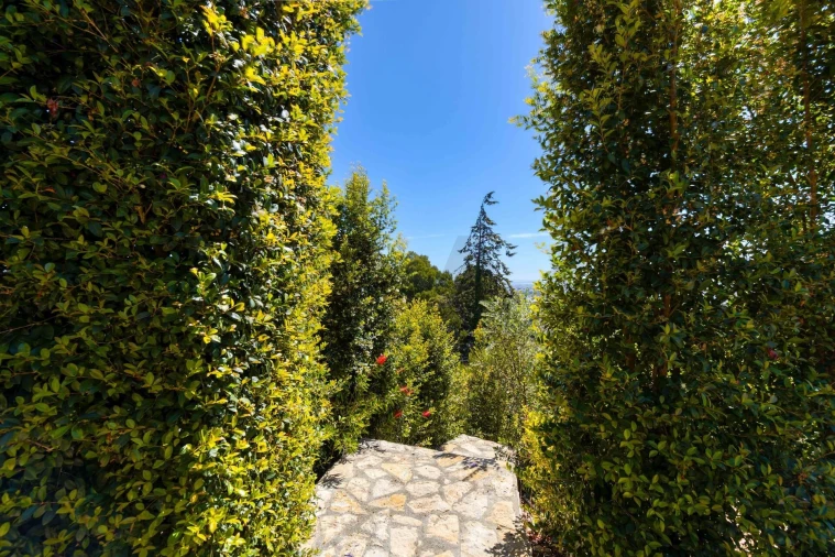 Moradia T3 para Venda em Agualva e Mira-Sintra Foto 48