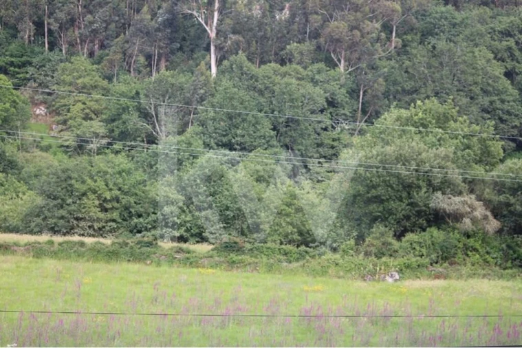 Terreno para Venda em Padornelo Foto 2