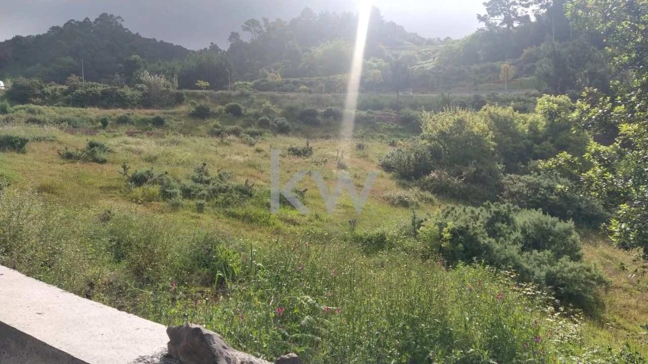 Terreno para Venda em Arco da Calheta Foto 8