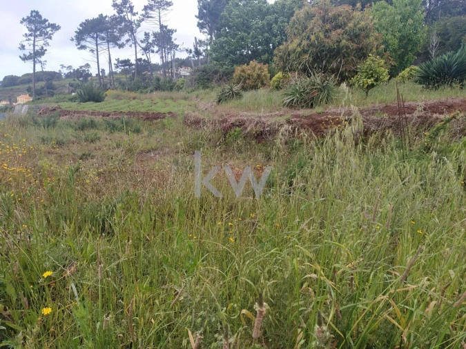 Terreno para Venda em Arco da Calheta Foto 4