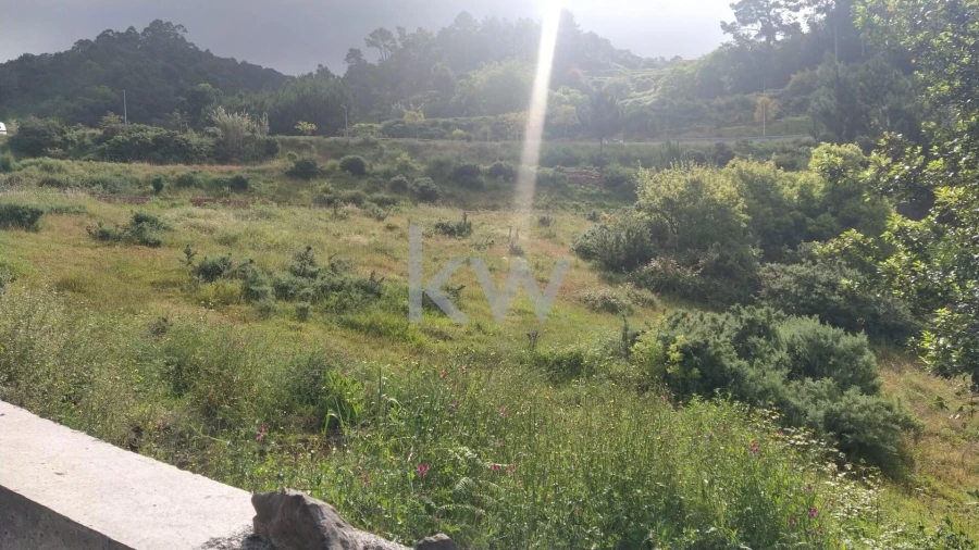 Terreno para Venda em Arco da Calheta Foto 8