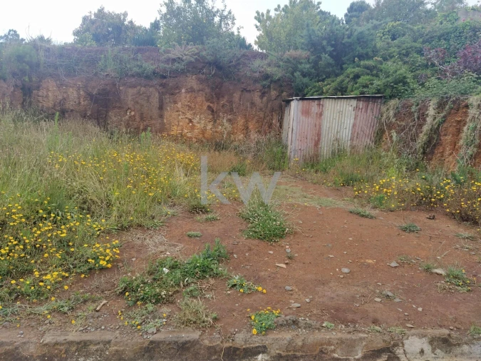 Terreno para Venda em Arco da Calheta Foto 2