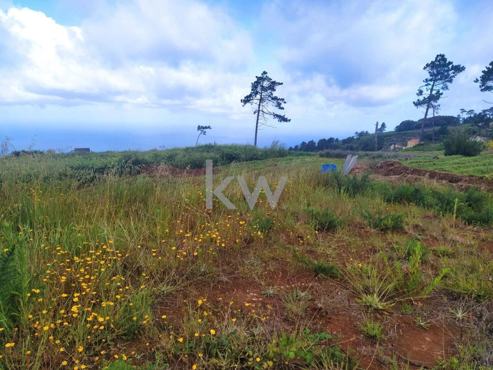 Terreno para Venda em Arco da Calheta Foto 7