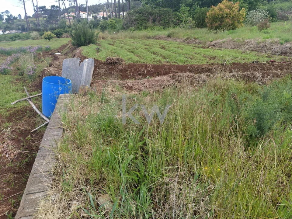 Terreno para Venda em Arco da Calheta Foto 6
