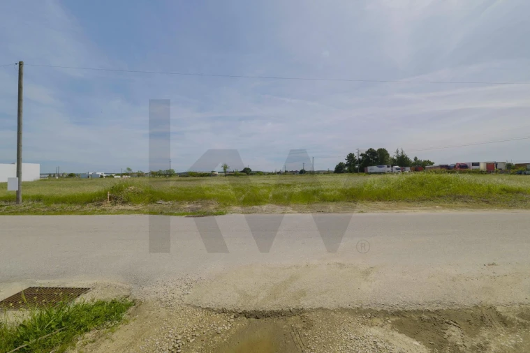 Terreno para Venda em Alpiarça Foto 4