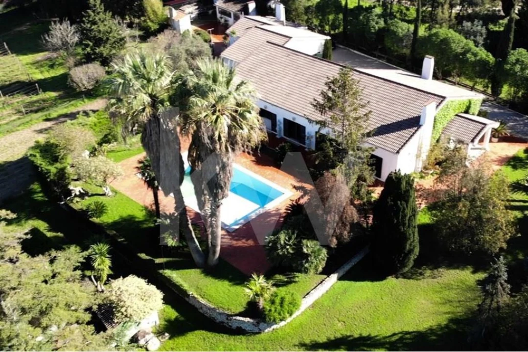 Quinta T6 para Venda em Azeitão (São Lourenço e São Simão) Foto 3