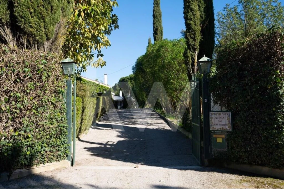 Quinta T6 para Venda em Azeitão (São Lourenço e São Simão) Foto 9