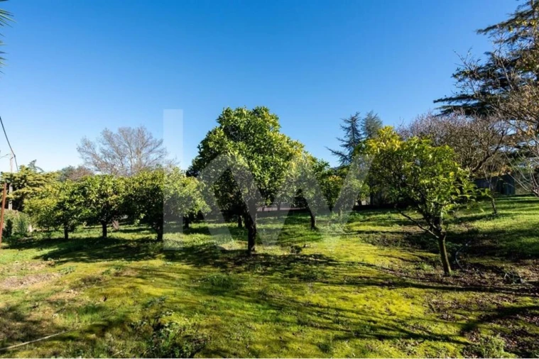 Quinta T6 para Venda em Azeitão (São Lourenço e São Simão) Foto 98