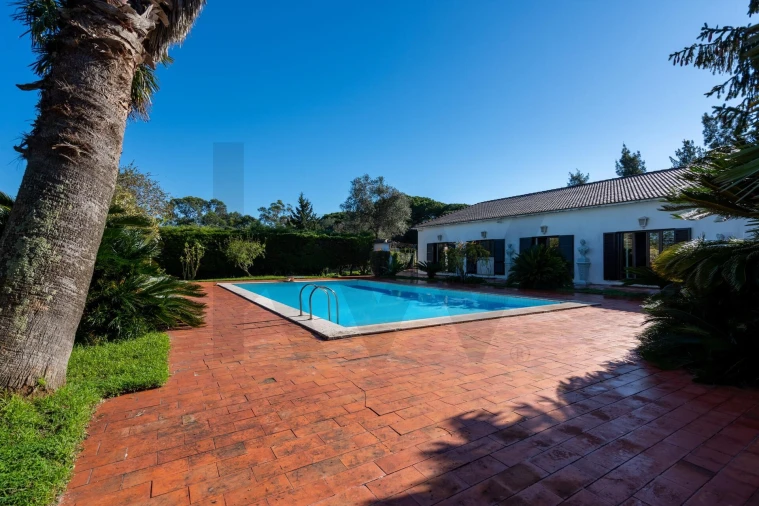 Quinta T6 para Venda em Azeitão (São Lourenço e São Simão) Foto 14