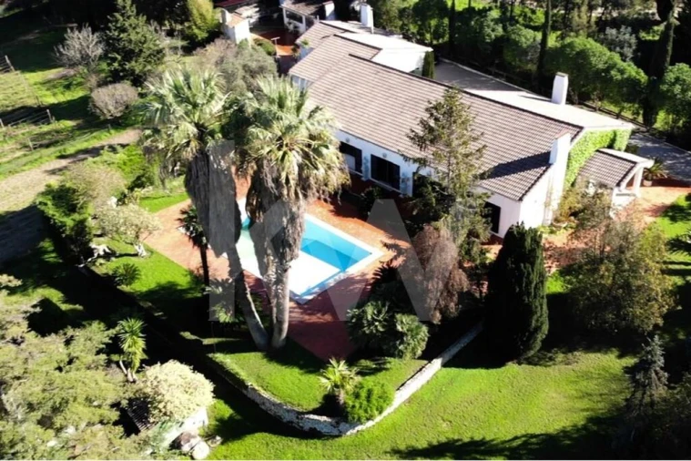 Quinta T6 para Venda em Azeitão (São Lourenço e São Simão) Foto 2