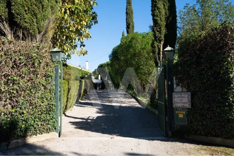 Quinta T6 para Venda em Azeitão (São Lourenço e São Simão) Foto 6