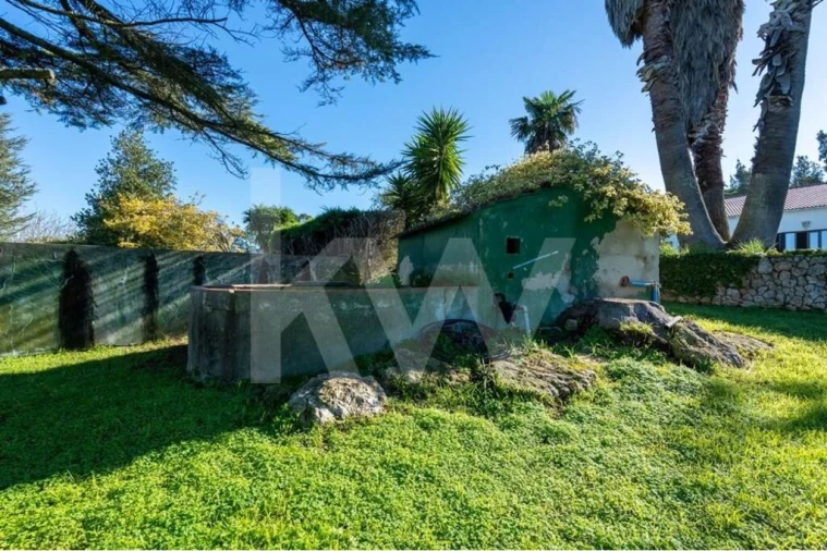 Quinta T6 para Venda em Azeitão (São Lourenço e São Simão) Foto 87