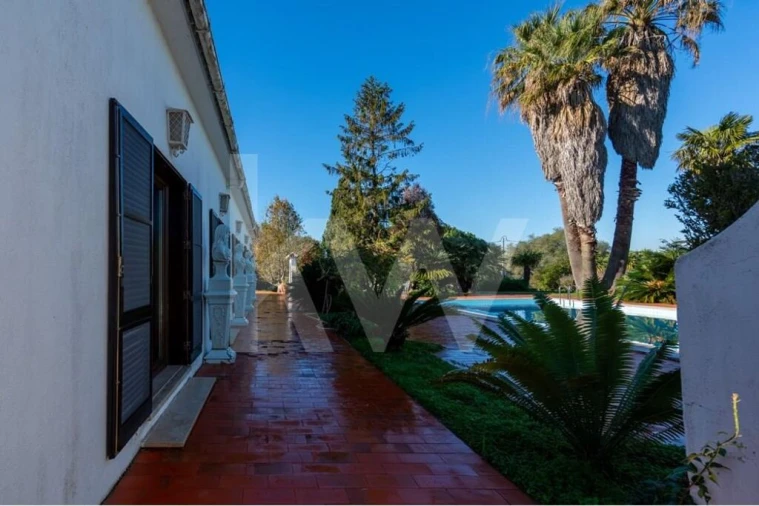 Quinta T6 para Venda em Azeitão (São Lourenço e São Simão) Foto 20