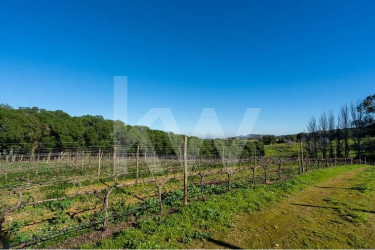 Quinta T6 para Venda em Azeitão (São Lourenço e São Simão) Foto 96