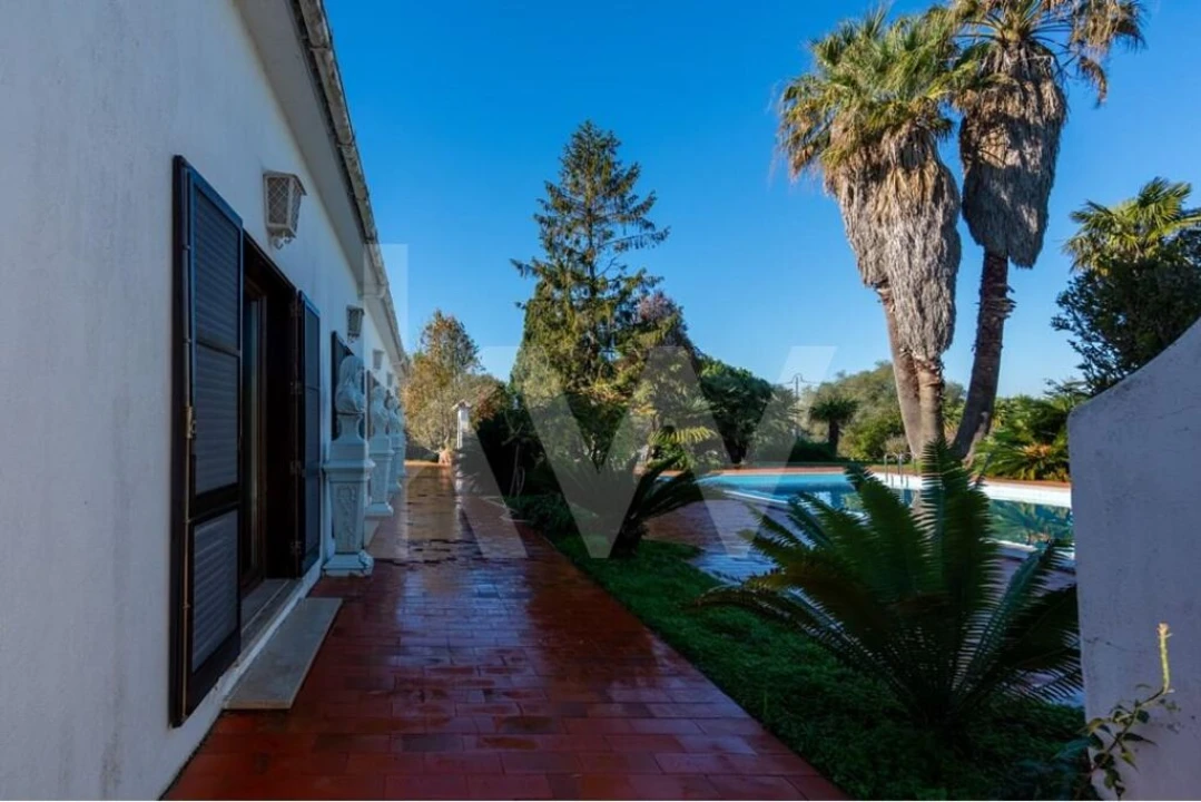 Quinta T6 para Venda em Azeitão (São Lourenço e São Simão) Foto 17