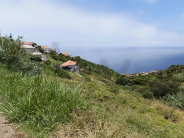 Terreno para Venda em Santa Cruz