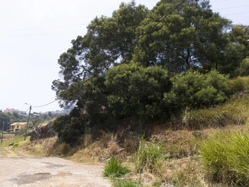Terreno para Venda em Santa Cruz