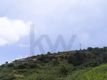 Terreno para Venda em Santa Cruz