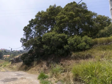 Terreno para Venda em Santa Cruz