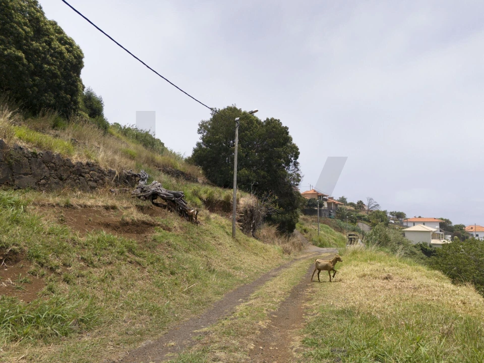 Terreno para Venda em Santa Cruz Foto 16