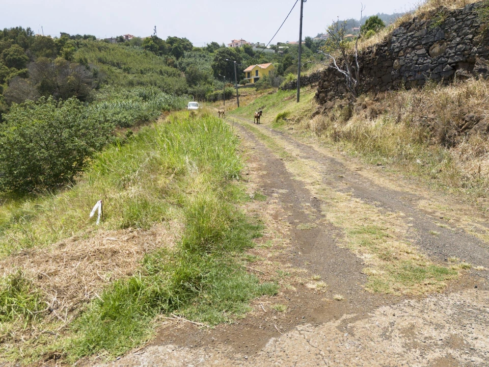 Terreno para Venda em Santa Cruz Foto 3