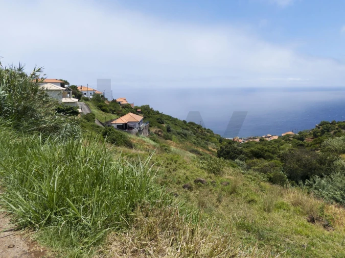 Terreno para Venda em Santa Cruz Foto 11
