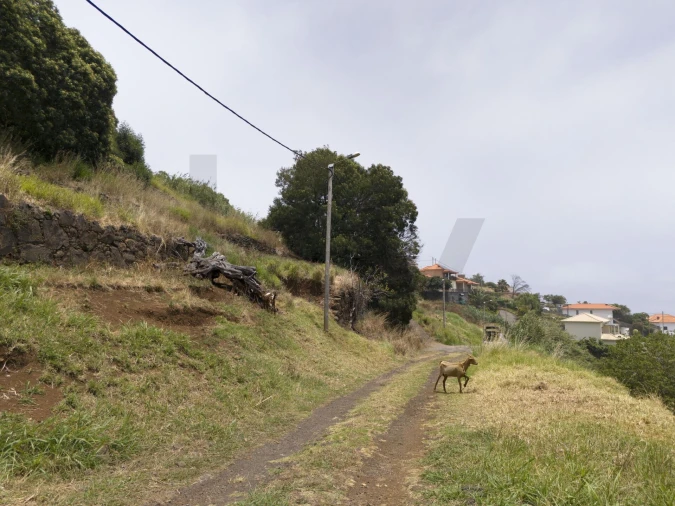 Terreno para Venda em Santa Cruz Foto 16